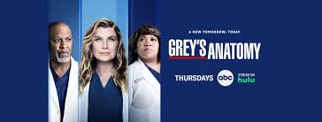 Since the beginning, grey's anatomy has always had characters fans collectively can't stand and even hate. Grey S Anatomy Home Facebook