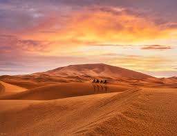 Descubra desierto del sahara cerca de merzouga imágenes de stock en hd y millones de otras fotos, ilustraciones y vectores en stock libres de regalías en la colección de shutterstock. Sahara Desert Merzouga Morocco