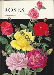Roses by Andre Leroy