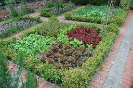 Thinking Of What To Plant This Spring I Can T Wait For Yummy Lettuces Mine Never Seem To Look Th Potager Garden Vege Garden Ideas Vegetable Garden Design