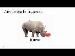 دول العالم المذكرة والمؤنثة بالفرنسية. Ø¯Ø±Ø³ Ø§Ù„ÙØ±Ù†Ø³ÙŠØ© ÙˆØ­ÙŠØ¯ Ø§Ù„Ù‚Ø±Ù† Youtube