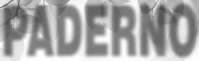 Http Www Auroranewspaper Com Pdf 2011 3230news Pdf