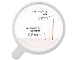 The proportion of dormant chest hair during the wax, the waxing technique, and the genetics of the man all play a role. How Long Does Epilation Last Versus Wax Braun Uk