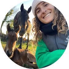 Vito Perna's Instagram, Twitter & Facebook