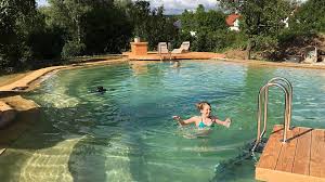 Was Kostet Ein Schwimmteich Naturagart Blog Schwimmteich Naturschwimmbecken Schwimmen