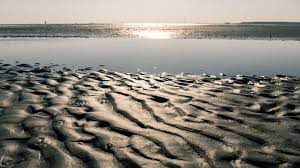 Die erde dreht sich weiter (den mond halten wir kurz an). Warum Gibt Es An Der Nordsee Gezeiten Und An Der Ostsee Nicht Swr Wissen