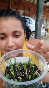 Quéren Hapuque (@mimosdemaerd) • Instagram फोटोहरू र भिडियोहरू