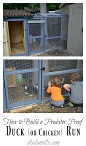 Ducks like to do things in groups, including going through duck doors (watching a duck run is so delightful!). Pin On Outdoors Gardening
