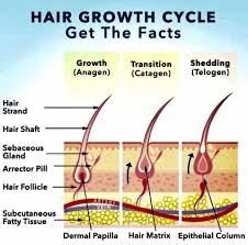 They keep trying many different things. Let S Make Your Hair Roots Gia S Organic Solutions Facebook