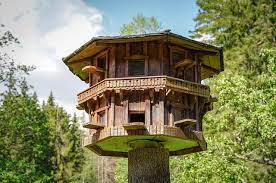16,599 likes · 70 talking about this · 555 were here. Case Sull Albero In Italia Dove Soggiornare E Dormire