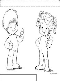 Imprime gratis estos dibujos para que los más pequeños desarrollen sus capacidades artísticas. Esquema Corporal Corpo Humano Para Colorir Corpo Humano Fotografia De Criancas