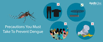 Dengue is a different matter and can. Precautions You Must Take To Prevent Dengue Apollo Clinic Blog