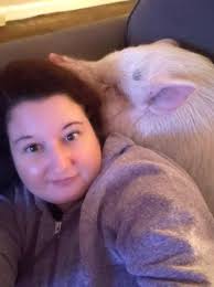 Beloved mini pig Gilbert enjoys new party career across Connecticut