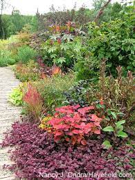 Small Garden Ideas From Thomas Rainer Don T Bring A Plant Into That Garden Unless It Has A Striking Form Spiky Billowing Plants Small Gardens Small Garden