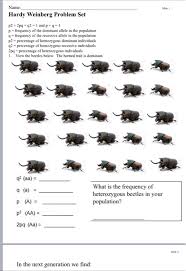 These data sets will allow you to practice. Solved Slide 1 Name Hardy Weinberg Problem Set P2 2pq Chegg Com