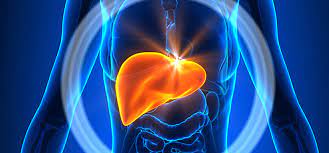 Fatty Liver Can Be A Silent Killer - Welthi | Healthcare Tips and News |  Daily Health Tips | Nutrition Tips