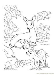 Free printable forest coloring pages for kids of all ages. Coloring Pages Deer In Forest Coloring Page For Kids