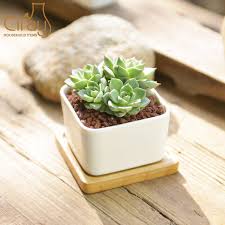 These shallow pots for succulents are amazing for planting small cactus and succulents in them. China New Best Selling Square White Small Ceramic Succulent Pot With Wooden Tray China Plant Pot And Ceramic Plant Pot Price