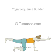 Tiger Pose Vyaghrasana Variations 76 Variations Of Tiger Pose Tummee Com Yoga Poses Yoga Sequences Yoga Teachers