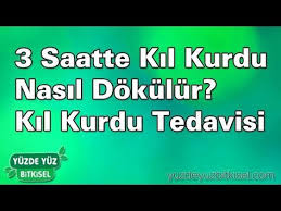 3 Saatte Kil Kurdu Nasil Dokulur Kil Kurdu Tedavisi Yuzde Yuz Bitkisel Youtube Evde Hazirlabilen Ilaclar Saglikli Yasam Saglik