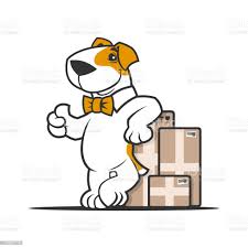 Cartoon Dog Character In Bow Tie Near Parcel Boxes Showing Thumb Up Stock Illustration Download Image Now Istock