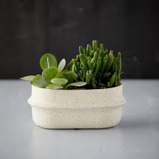Plastic planters are lightweight and easy to move around. Planters By Size Small Medium Large Extra Large Plant Pots Terrain Large Plant Pots Hanging Plants Garden Plant Stand