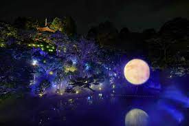 9月29日は「十五夜」満月が見える！東京で名月を愛でる絶景スポット3選 - ライブドアニュース