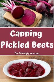 Canning Pickled Beets Our Stoney Acres Canned Pickled Beets Canning Recipes Pickled Beets