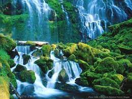 So Gorgeous Waterfall Pictures Waterfall Wallpaper Waterfall