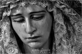 Luis Gavín Fotografía