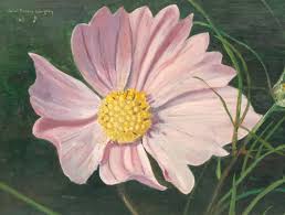 Jane Pickens Langley, Pink Cosmos