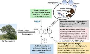 Image result for Oncocalyx