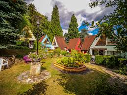 Présentation des gites et contact direct avec le propriétaire. Gites A Kaysersberg Alsace Pres De Colmar Gites Kaysersberg Route Des Vins D Alsace