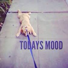 Image result for don't wanna