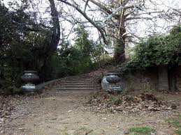 Και εγώ με παλιά κούρσα πάω στα κτήματα. Kthma Tatoioy Eikones Apo Ta Prwhn Basilika Anaktora Poy Pagwsan Ston Xrono Memory Life Magazine