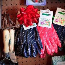 Maybe you would like to learn more about one of these? The Garden Store Visit Mcbg Corp 2021 Fort Bragg California