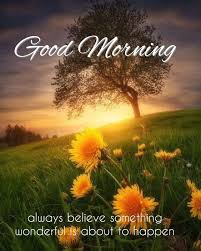 Good Morning In 2020 Morning Pictures Good Morning Images Good Morning Nature