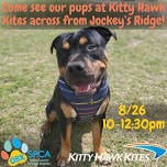 Salty Tails of Love at Kitty Hawk Kites