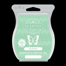 Here are a few tips on how to correctly store your scentsy bars so you can achieve maximum shelf life: How Long Does A Scentsy Bar Last Incandescent Scentsy Us