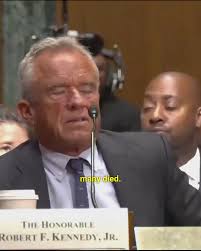 Not a single thought in RFK Jr.'s head