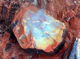 What Is Petrified Wood How Does It Form Petrified Wood Petrified Forest National Park Petrified Forest