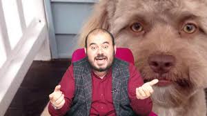 Ruyada Kopek Olmak Gormek Nedir Ruyada Kopek Oldugunu Gormek Ne Anlama Gelir Huseyin Duru Youtube