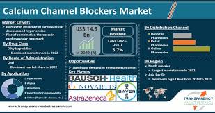 Image result for Calcium Channel Blocker