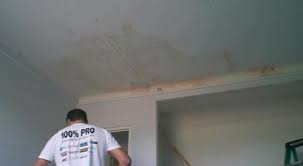 L'équipe technique de plafonds tendus occitans a récemment posé un plafond tendu barrisol noir mat dans une chambre, sur toulouse. Installation Le Plafond Zero Defaut Decoration Renovation