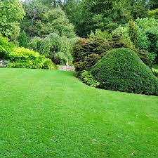 Landscaping Woodstock Ga Legion Landscaping Design