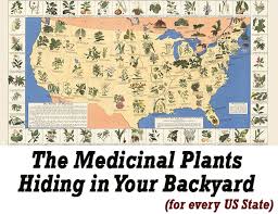 It can interfere with the lost book of herbal remedies review any drugs you may be taking. The Lost Book Of Remedies Review After Use Fitnessreaper Com
