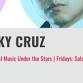 Micky Cruz