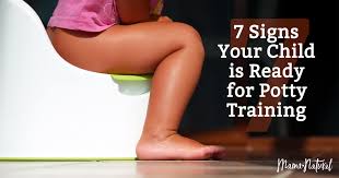 One day, he manages to escape, and, deranged and naive in equal measures, his adventure into the modern and nihilistic life begins. 7 Signs Your Child Is Ready For Potty Training Mama Natural