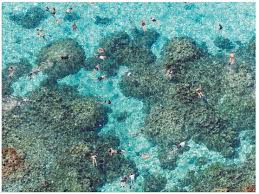 24 by 18 printed with no glare non toxic inks. Buy Galison Gray Malin Beach Double Sided Puzzle 500pc