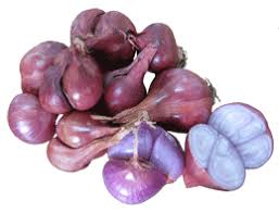 Image result for shallots